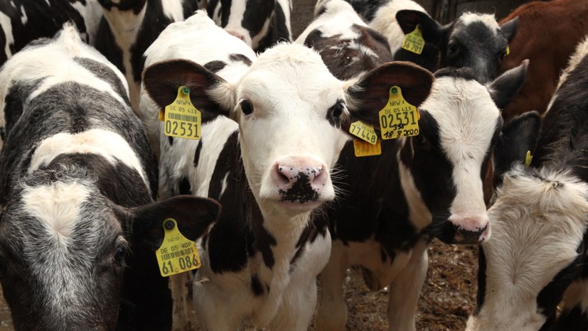 Landwirte sind empört: „Schluss mit lustig!“