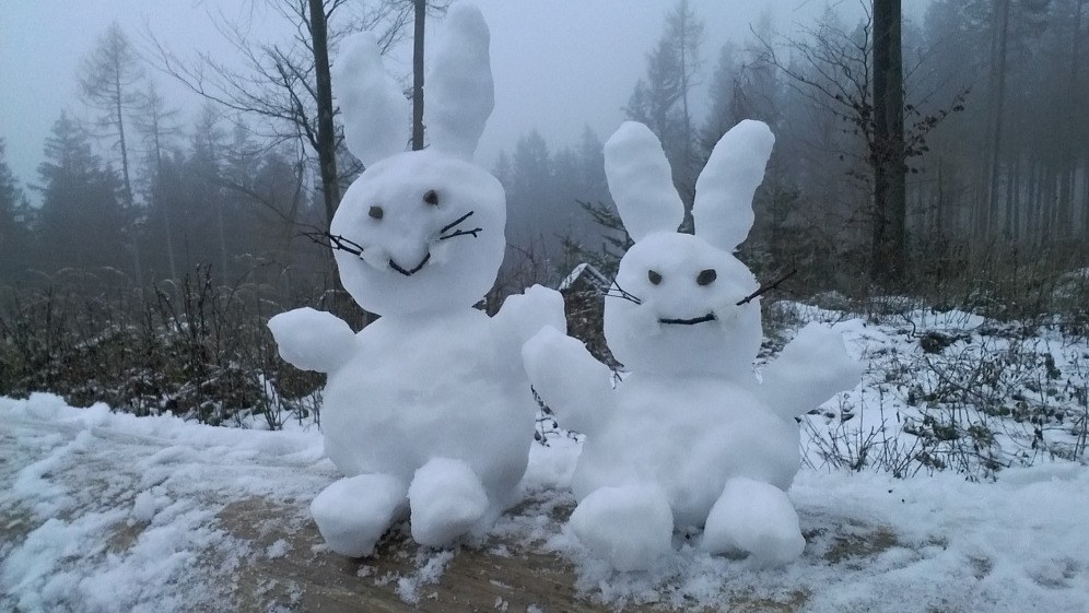 Thüringer "Schneehasen" wünschen ein frohes neues Jahr