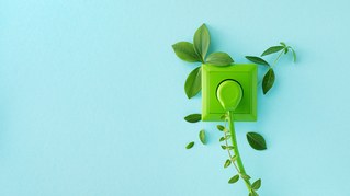 Ampelkoalition beschließt großflächigen Austausch aller Haushaltssteckdosen