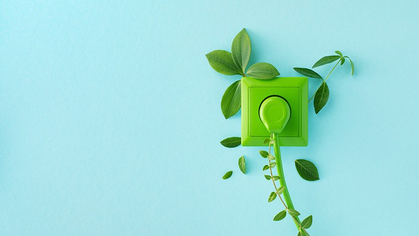 Ampelkoalition beschließt großflächigen Austausch aller Haushaltssteckdosen