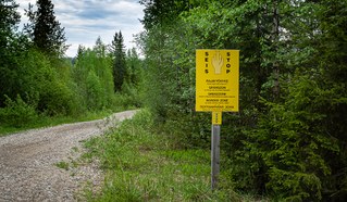 Finnland seit gestern 31. NATO-Mitglied