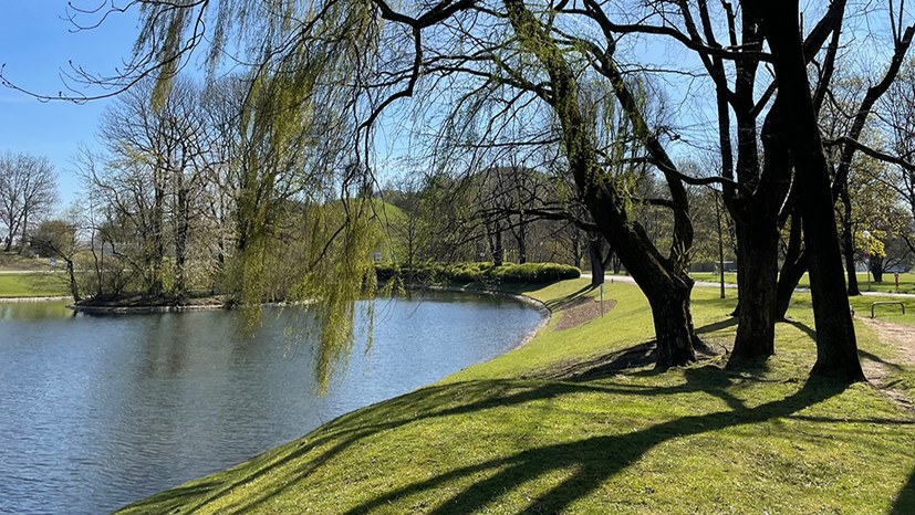 Ostern – Fest des Lebens, des Aufbruchs, der Hoffnung