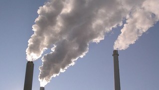 "Blue Carbon" pachtet riesige Gebiete in Afrika, um mit CO₂-Zer­ti­fi­ka­ten zu han­deln