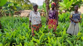 Kostbarkeiten aus Togo! Traditionell hergestellt, fair gehandelt und mit Perspektive