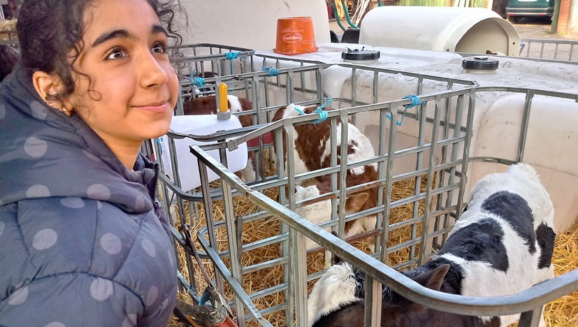 Braunschweiger Rotfüchse zu Besuch auf dem Bauernhof