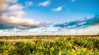 FDP-Europa-Parteitag unterwirft den Klimaschutz dem Konkurrenzkampf