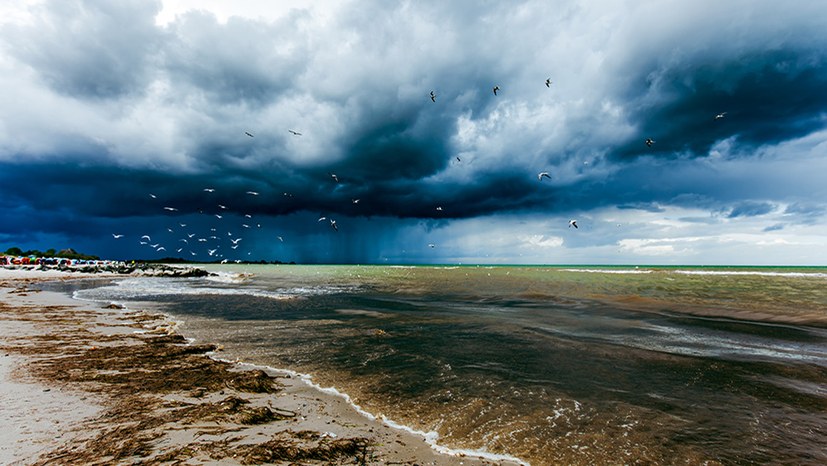 Verseuchung der Ostsee durch tödliches Gift!