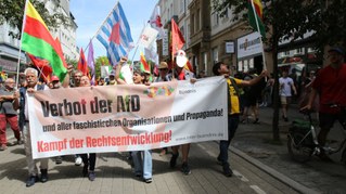 Interessante Berichte von den Anti-AfD Protesten