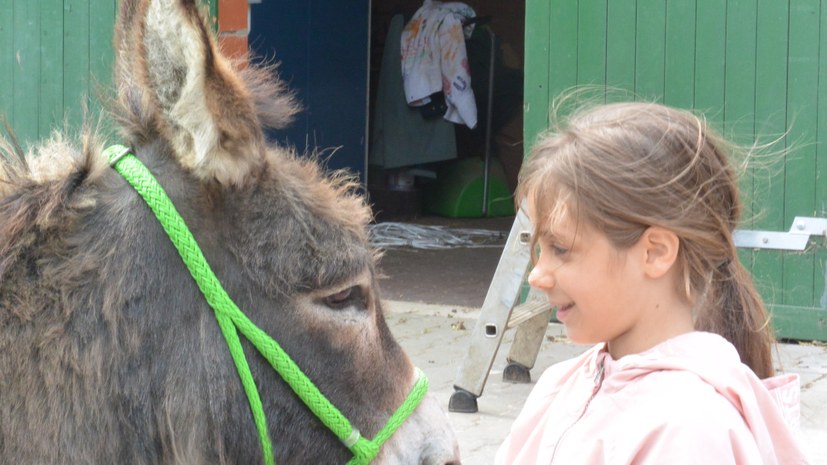 Kinder mit Eifer und neuen Erfahrungen beim Arbeitseinsatz auf dem Bauernhof