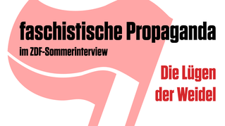 Alice Weidel setzt auf Ausländerfeindlichkeit und Aufrüstung