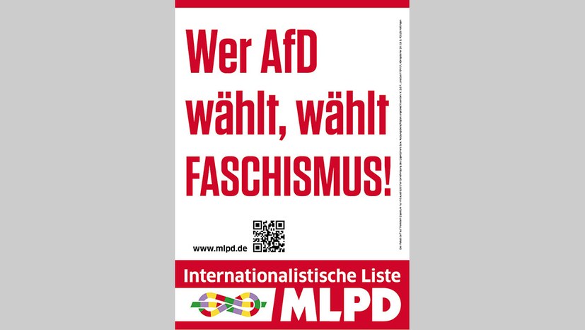 Am Samstag: Deckt euch mit Wahlkampfmaterial ein!