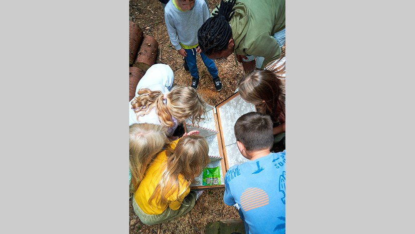 Erlebnisbericht vom Kindercamp