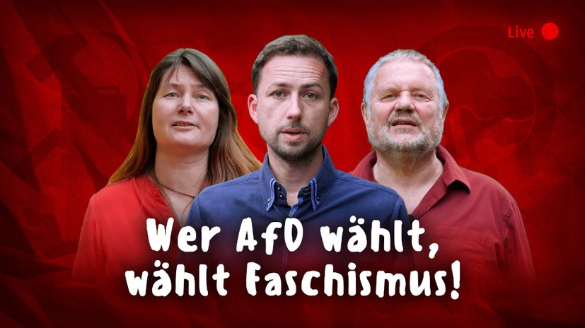 Live-Talk mit Stefan Engel, Ilka May und Tassilo Timm - Wählerinitiativen schauen gemeinsam