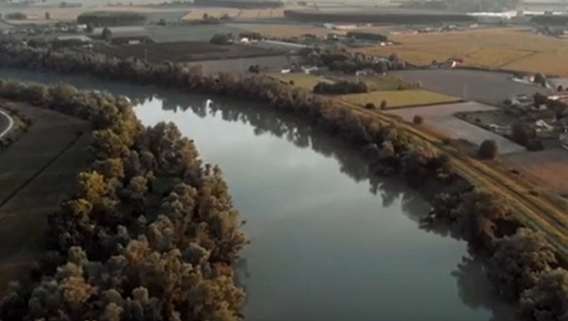 Fischsterben in der Oder und kein Ende