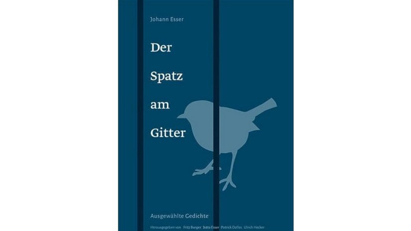 Der Spatz am Gitter