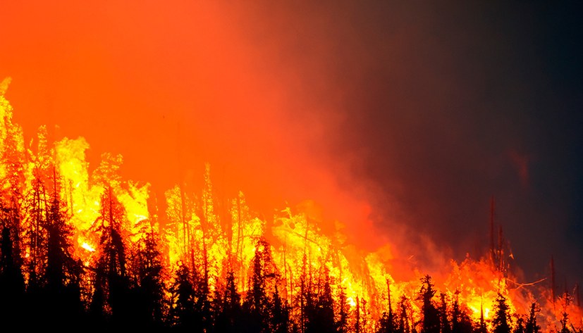 Mutwillige Zerstörung der Einheit von Mensch und Natur extrem aggressiv auf die Spitze getrieben