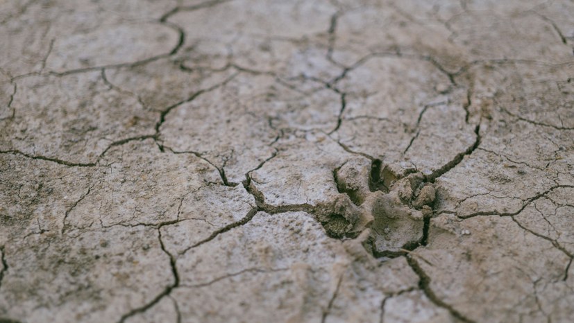 Extremwetter auf Rekordniveau