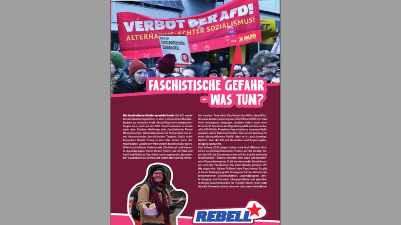 Faschistische Gefahr - Was tun?