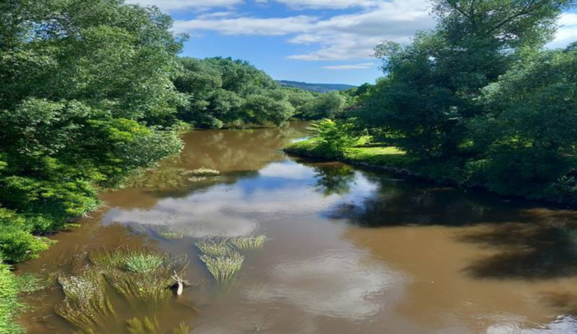 Fahrradurlaub: „An der Saale hellem Strande …“