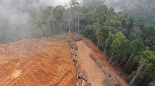 Brasilien: „Gesetz der Zerstörung“ beschlossen