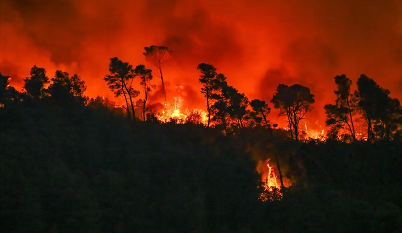 Größter Waldbrand seit 50 Jahren