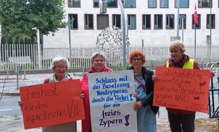 Internationaler zypriotischer Solidaritätstag