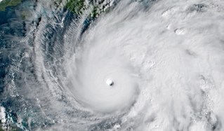 Hurrikan "Melissa" verwüstet Jamaika - Umweltkampftag am 15. November vorbereiten