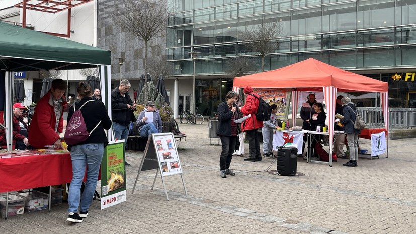 Nürnberg-Erlangen: Am erfolgreichsten und strahlendsten waren jedoch die Rotfüchsinnen!