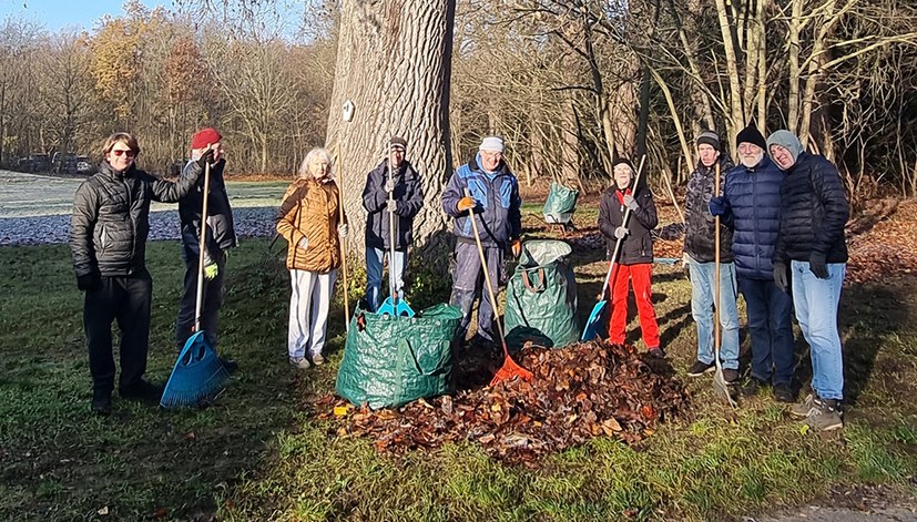 Subbotnik im Ferienpark: Außengelände gerodet, Rasen vom Herbstlaub befreit, Klavier transportiert
