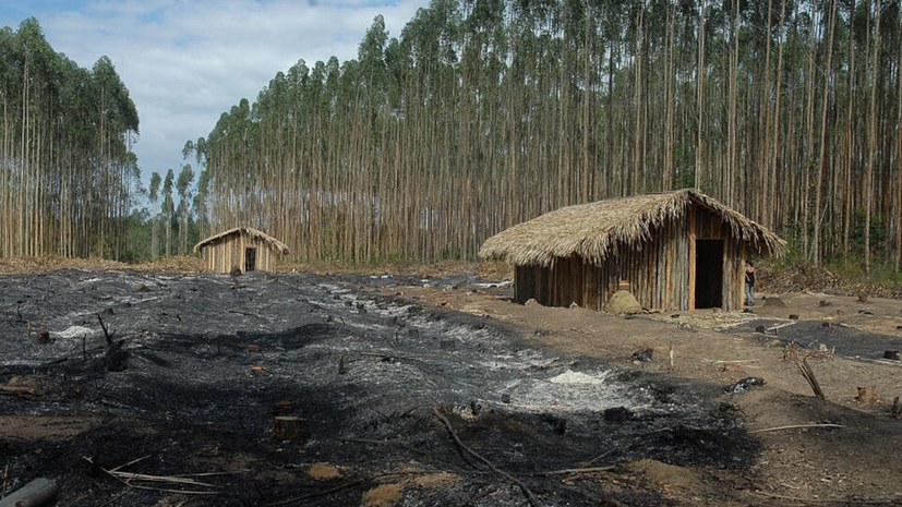 Wiederaufforstungszertifikate – krimineller grün-schmutziger Schwindel