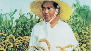 Die AfD, eine griechische Fabel und Mao Zedong