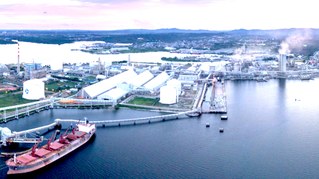 „Düngemittelpreise steigen rasant – die Spekulation wütet“