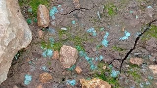 Geplanter Ökozid nun auch im Westjordanland!