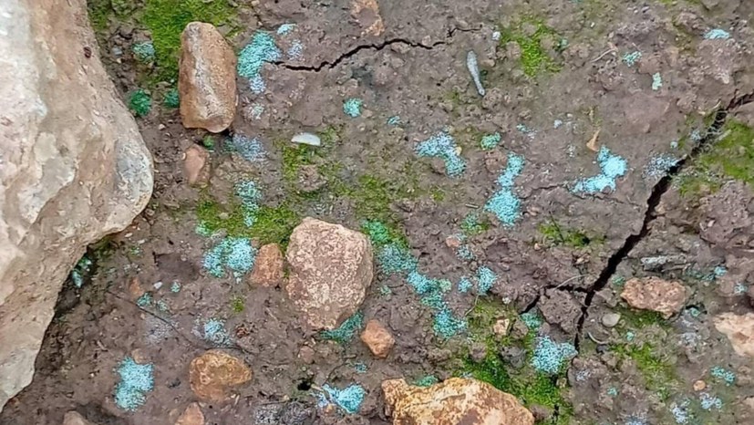 Geplanter Ökozid nun auch im Westjordanland!