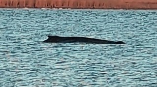 Es muss um Menschenleben und um das Wohl der Tiere gehen