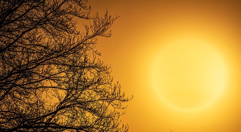 Hochsommerliche Hitzeperiode bereits im Mai – Ursachen und Folgen