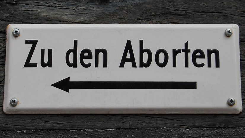 Höckes Klos als Staatsbarometer