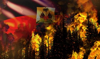 Verheerende Waldbrände entwickeln sich zum Inferno