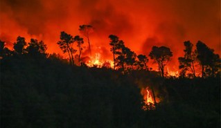 Waldbrände in Frankreich und Spanien haben dramatisches Ausmaß erreicht