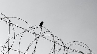 Ceuta: Solidarität statt Hetze!