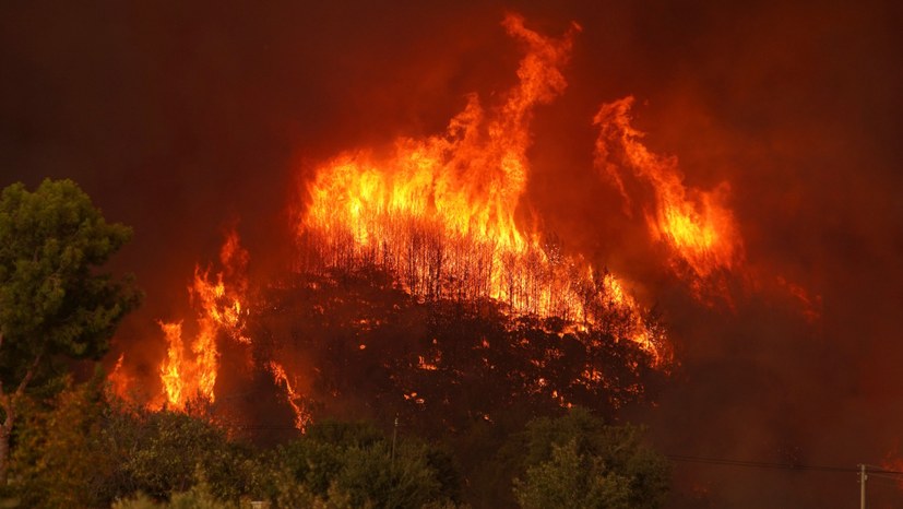 Verheerende Waldbrände: Gedanken eines Försters aus Frankreich
