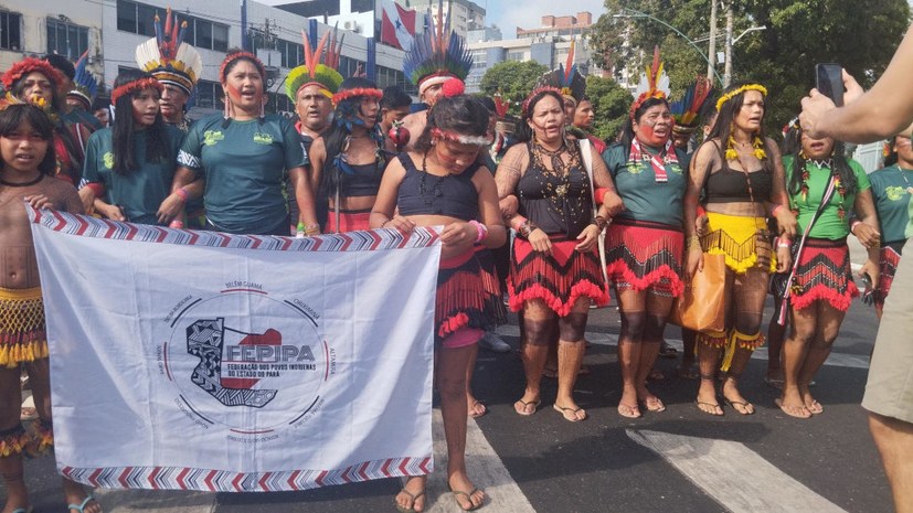 Indigene Gruppen demonstrieren.jpg