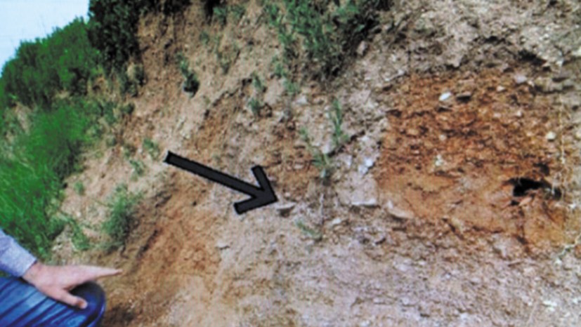 Neue archäologische Funde stellen herrschende Theorie infrage