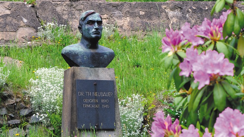 Theodor Neubauer – hervorragender Historiker, Lehrer und Revolutionär