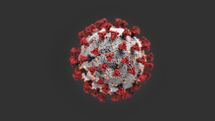 Wie gefährlich ist das neue  Coronavirus wirklich?