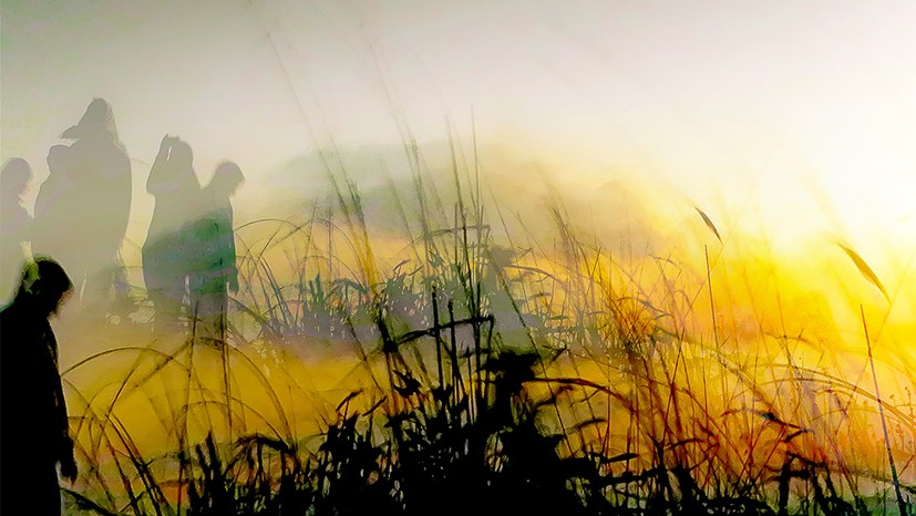 Hitzerekorde bedrohen akut menschliches Leben und die Natur