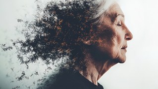 Zu den Folgen der Umweltkrise für das menschliche Gehirn