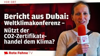 Weltklimakonferenz - Nützt der CO2-Zertifikate-Handel dem Klima?