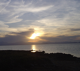 Ferienwohnungen Bucht von Alcudia