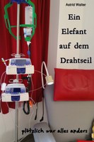 Cover Ein Elefant auf dem Drahtseil